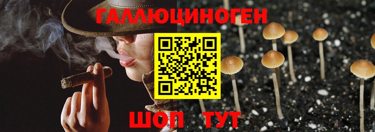 Галлюциногенные грибы Magic Shrooms  Галлюциногенные грибы мухоморы  Энгельс  Вход с VPN 